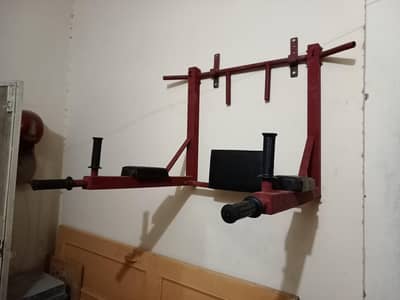 Dip bar and Pull bar