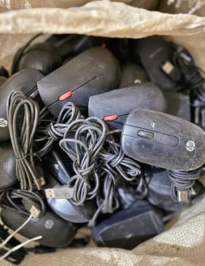 BRAND MOUSES