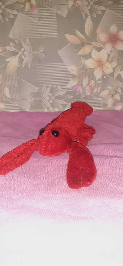 cute red soft lobster 