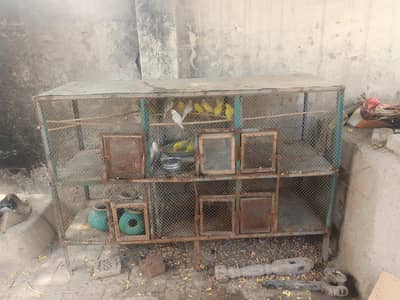 Large 6 Portion Bird Breeding Cage For Sale Shajubad Multan