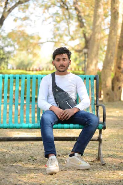 Ali shahensha