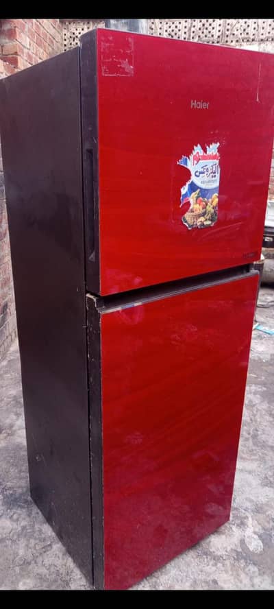 fridge and freezer