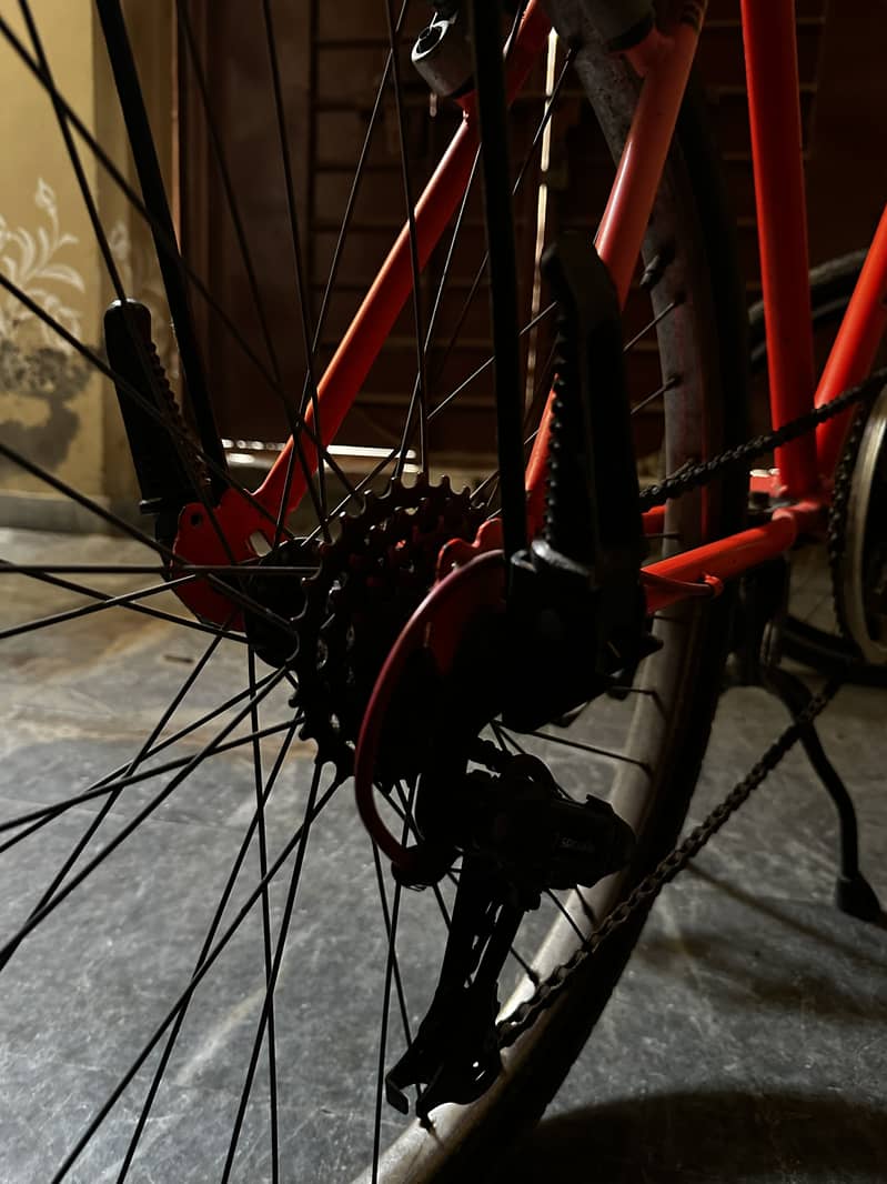 Phoenix cycle 5
