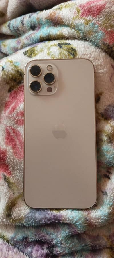 Apple iPhone 12 Pro Max