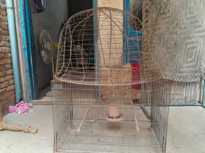 cage 3x2 and tokraa