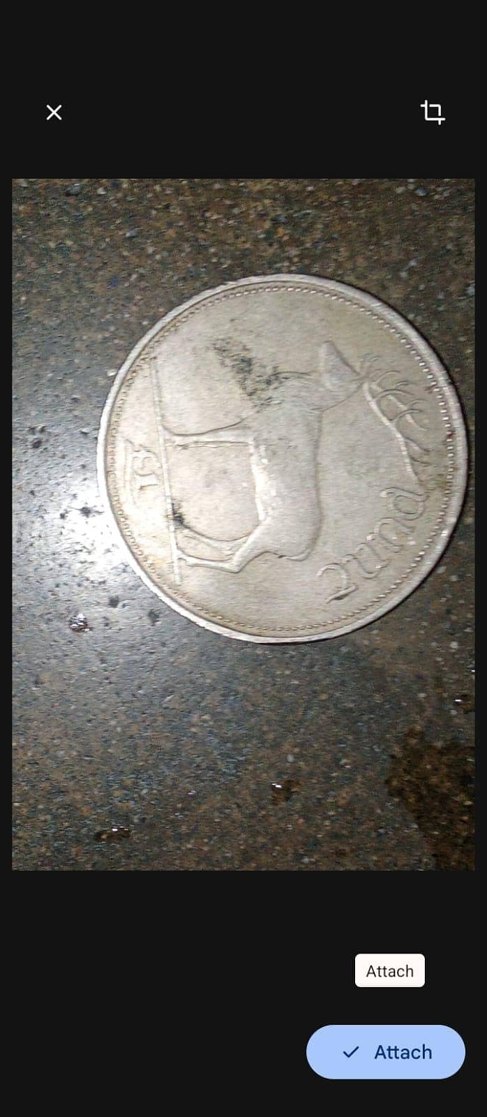 coins 1