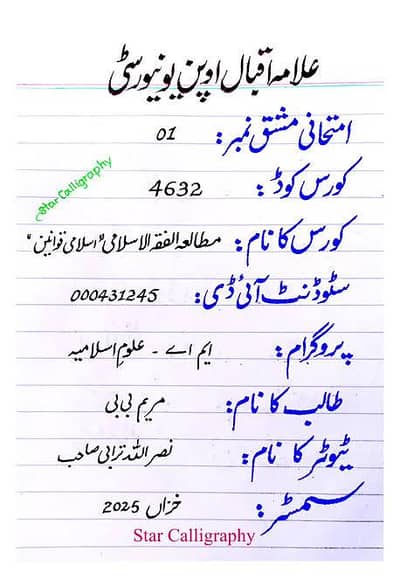 MA urdu assignment  writing  work service in layyah