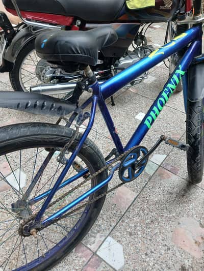 phoenx cycle