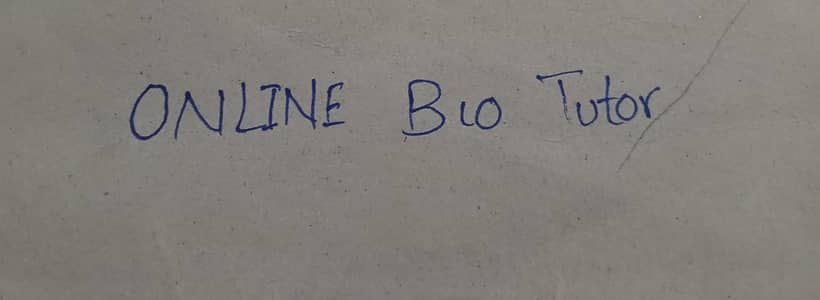 Online Bio Tutor - 9th 10th FSc - Hand Drawn Diagrams