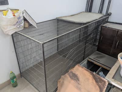 big parrot cage