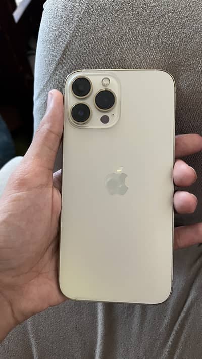 Apple iPhone 13 Pro Max