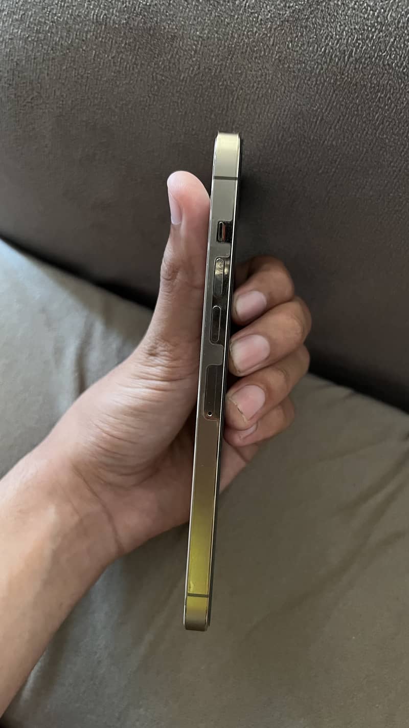 Apple iPhone 13 Pro Max 1