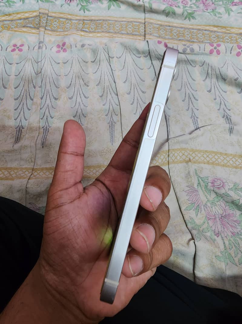 Apple iPhone 12 1