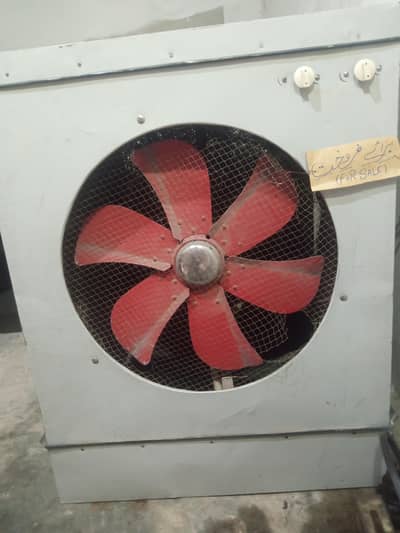 Lahori Jambo Coolar