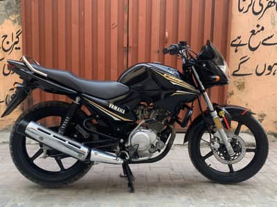 urgent sale ybr