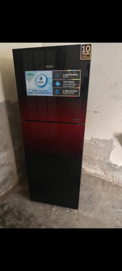 fridge freezer