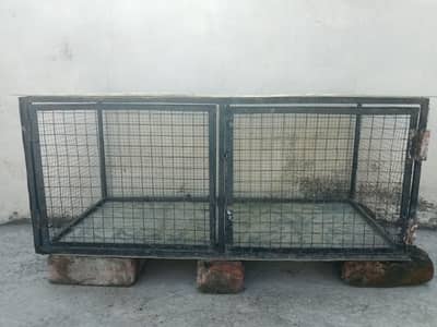 Hen and Parrot cage