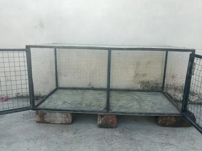 Hen and Parrot cage — photo 2