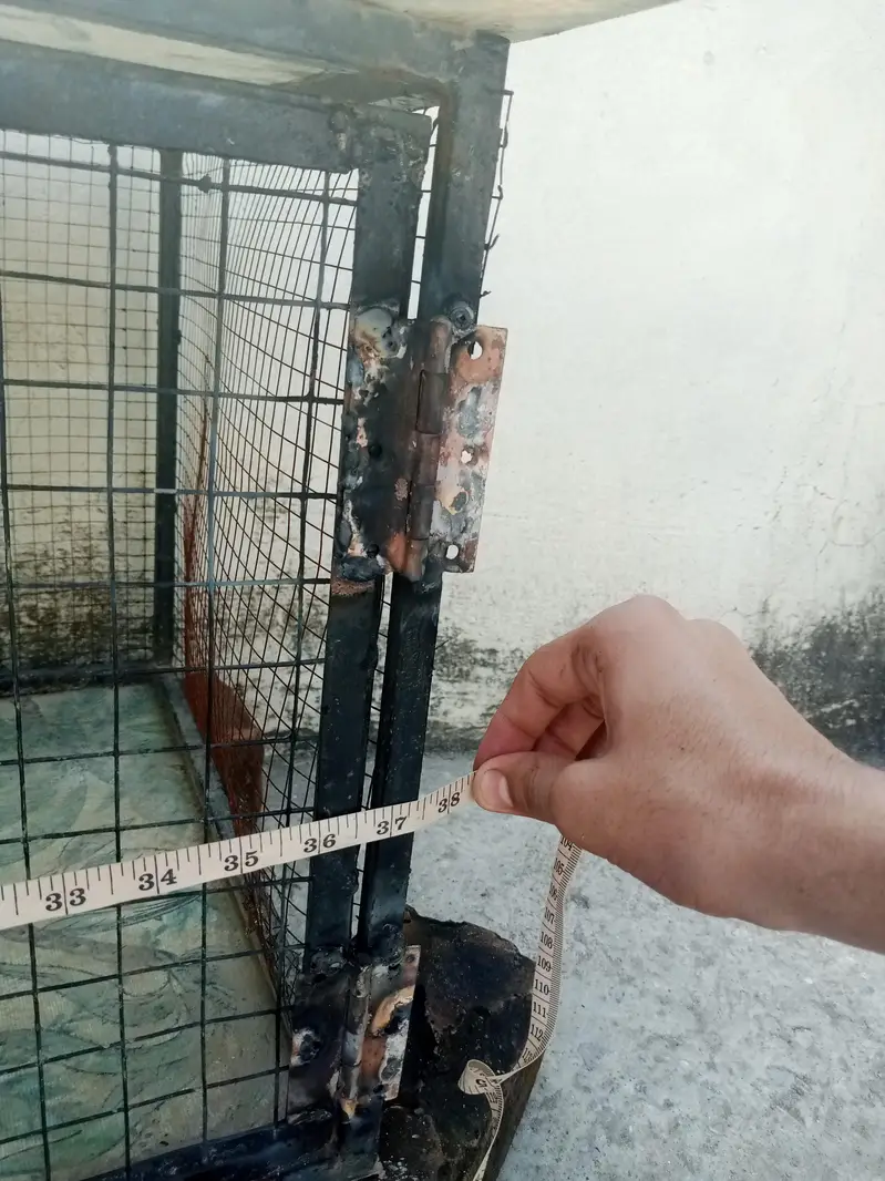 Hen and Parrot cage — photo 4