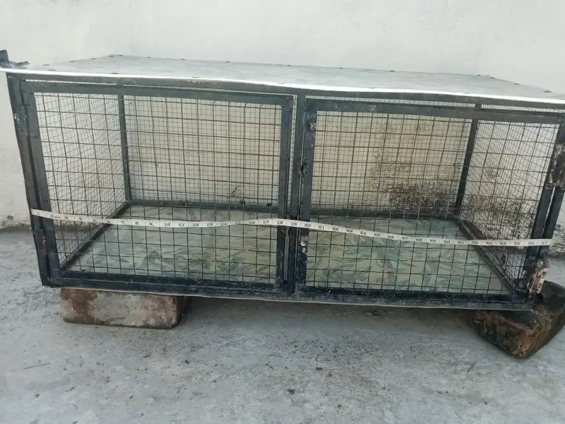 Hen and Parrot cage — photo 5