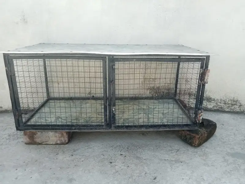Hen and Parrot cage — photo 7