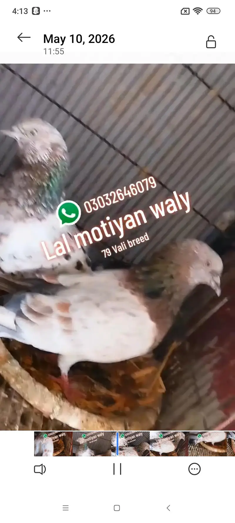 Lal motiay Royal taddey faroz puri firal Danish — photo 2