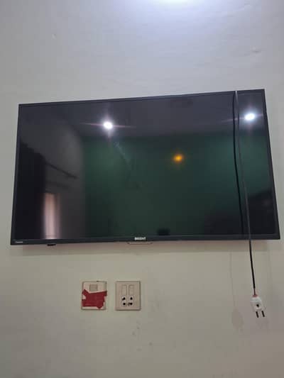 42 inches LED for sale Orient company