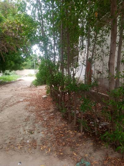 240 Sq Yards Plot For Sale in Sector T Gulshan-e-Maymar