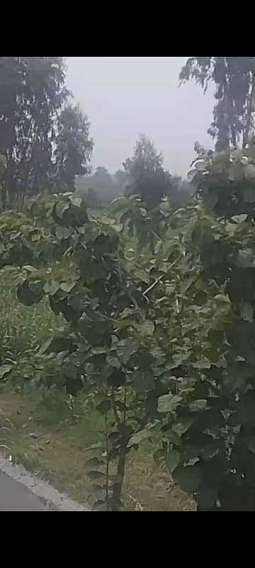 Farmhouse land For Sale On Prime location Multan Road Lahore