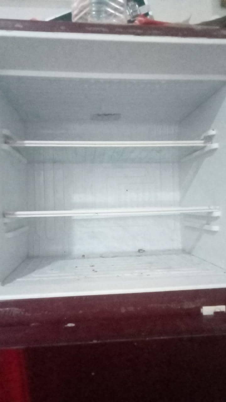waves fridge 1