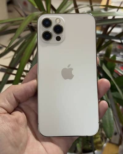 Apple iPhone 12 Pro