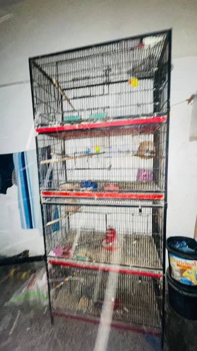 Birds Cage | Iron Cage | Steel Cage