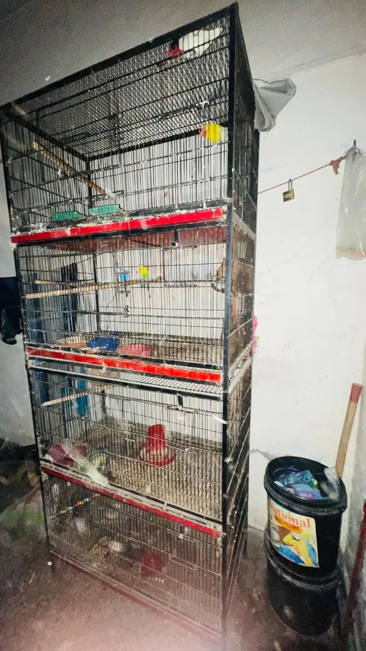 Birds Cage | Iron Cage | Steel Cage — photo 2