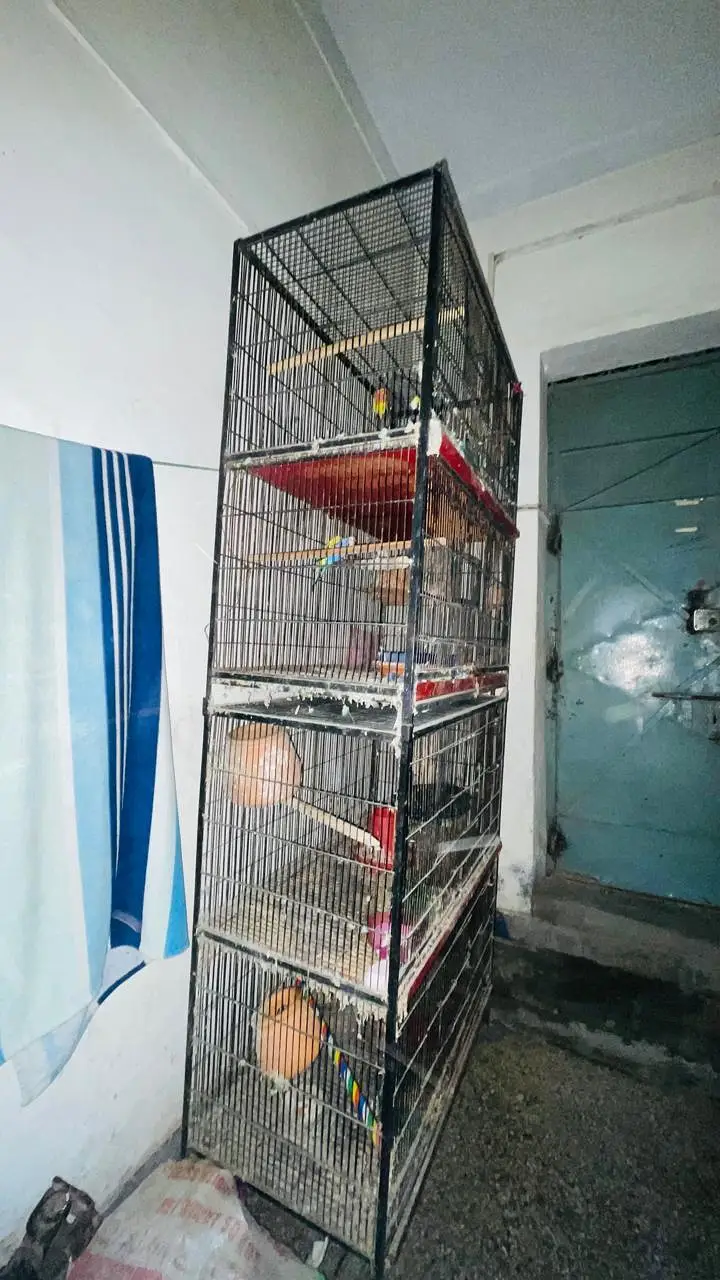 Birds Cage | Iron Cage | Steel Cage — photo 3