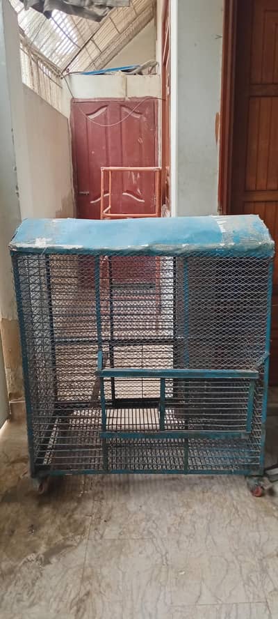  Large Spacious Bird Cage for Sale 