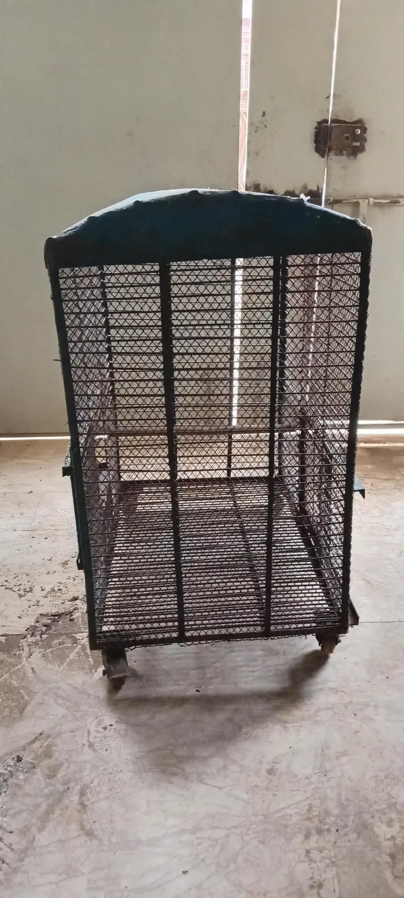  Large Spacious Bird Cage for Sale  — photo 2