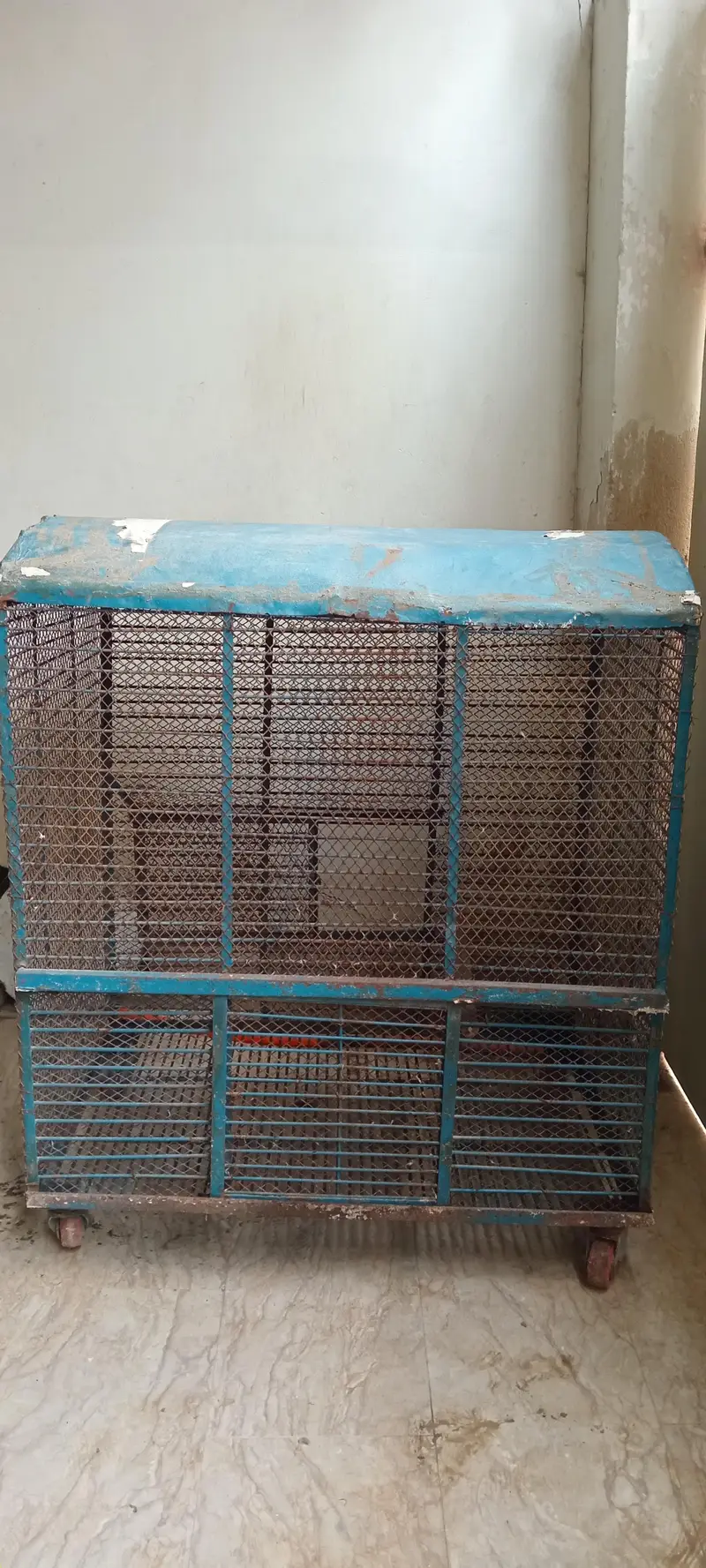  Large Spacious Bird Cage for Sale  — photo 4