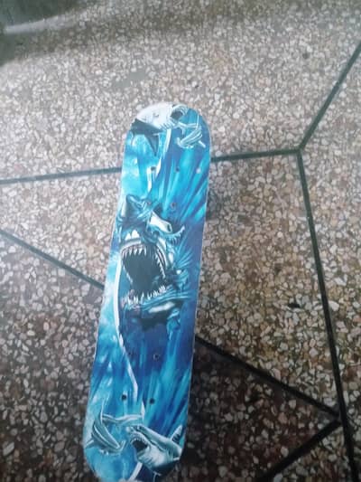 skateboard