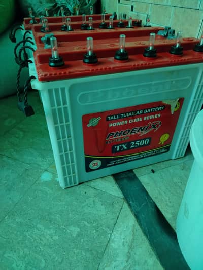phoenix battery