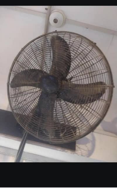 Rado big size wall fan perfect working