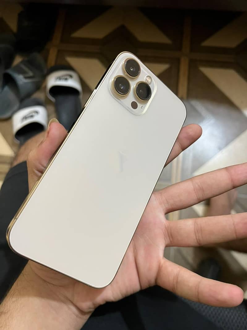 Apple iPhone 13 Pro Max 0