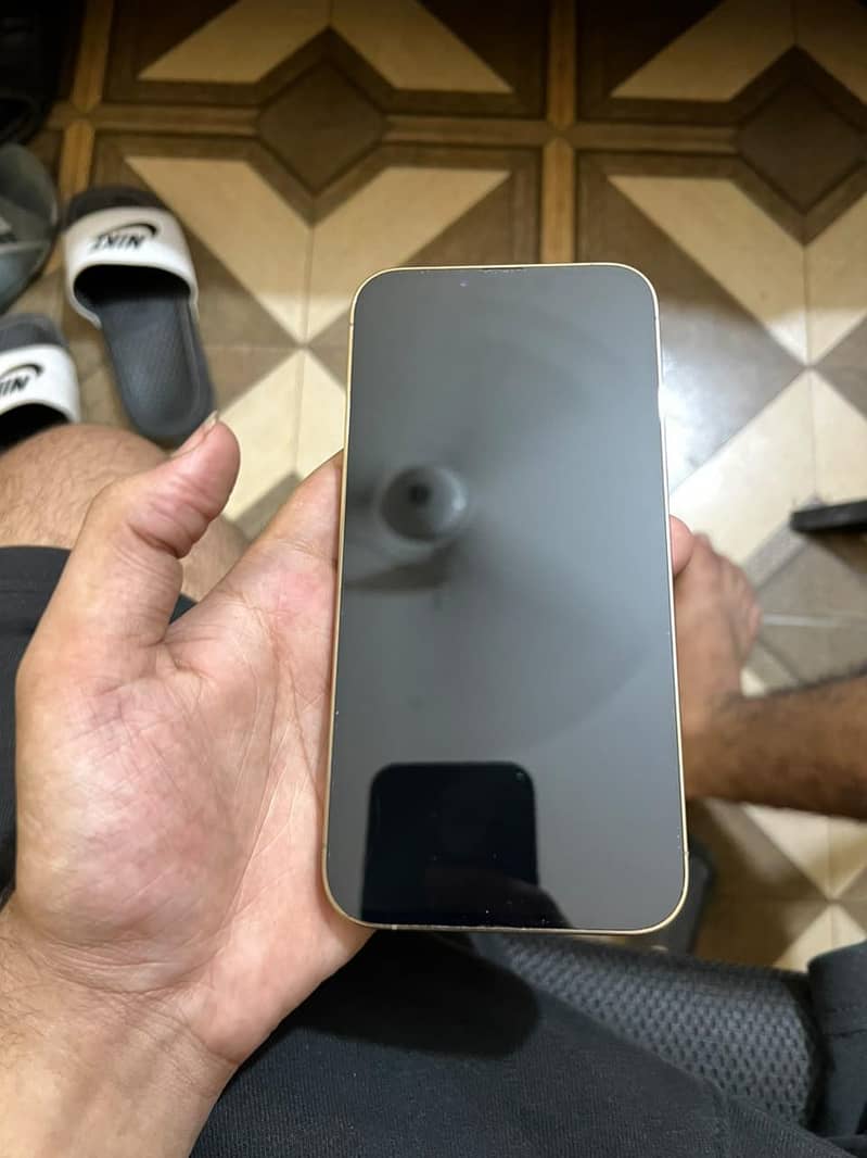 Apple iPhone 13 Pro Max 1