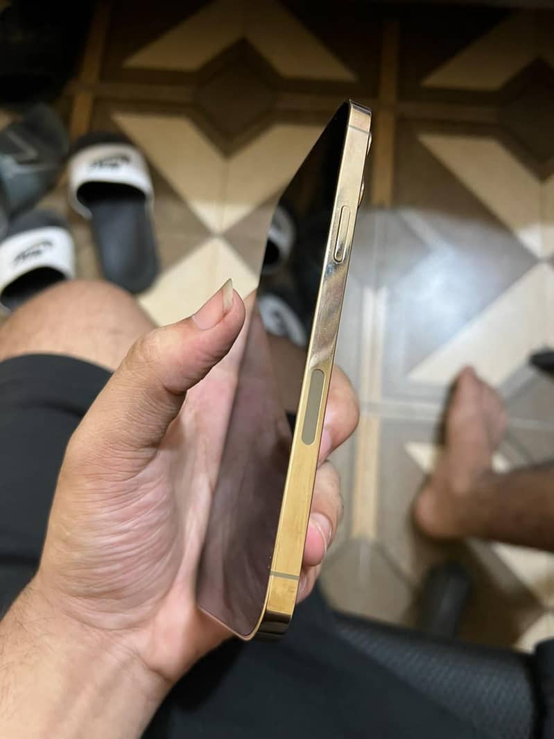 Apple iPhone 13 Pro Max 2