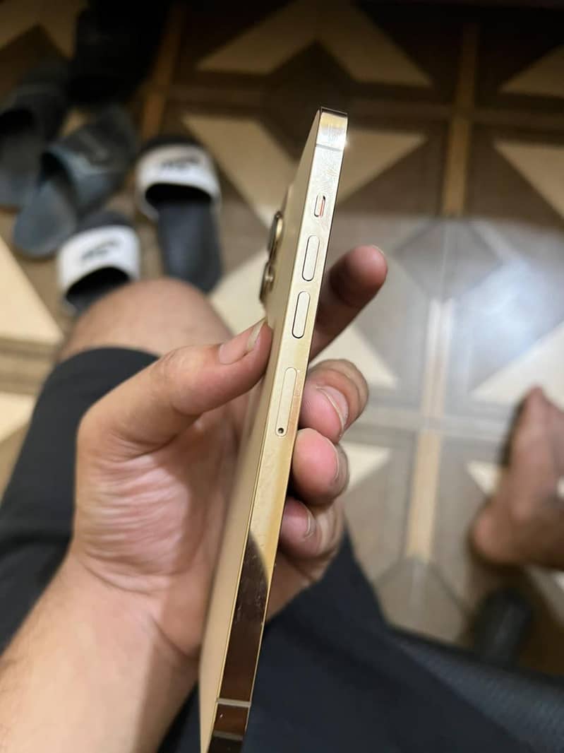 Apple iPhone 13 Pro Max 3