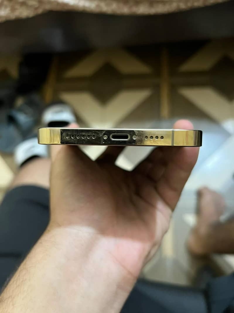 Apple iPhone 13 Pro Max 4