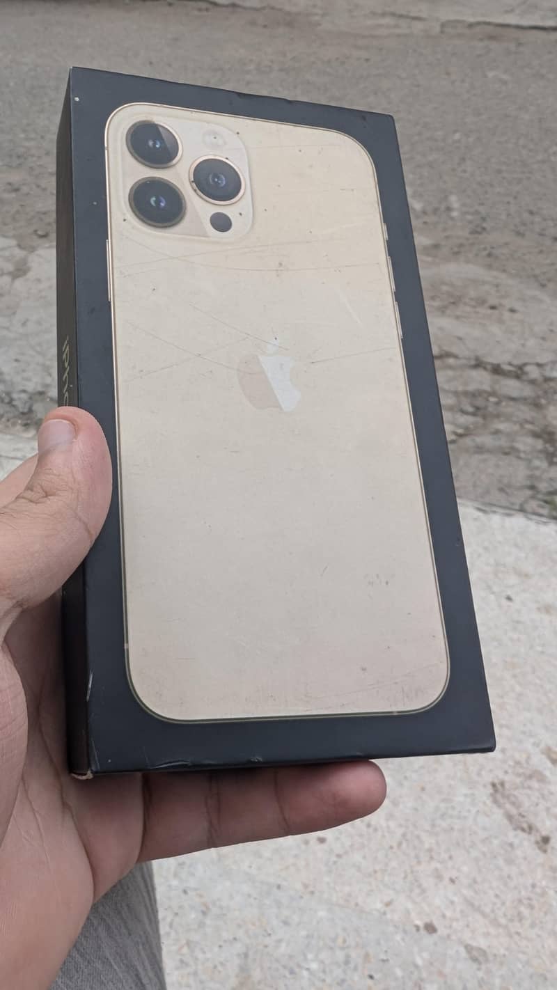 Apple iPhone 13 Pro Max 5