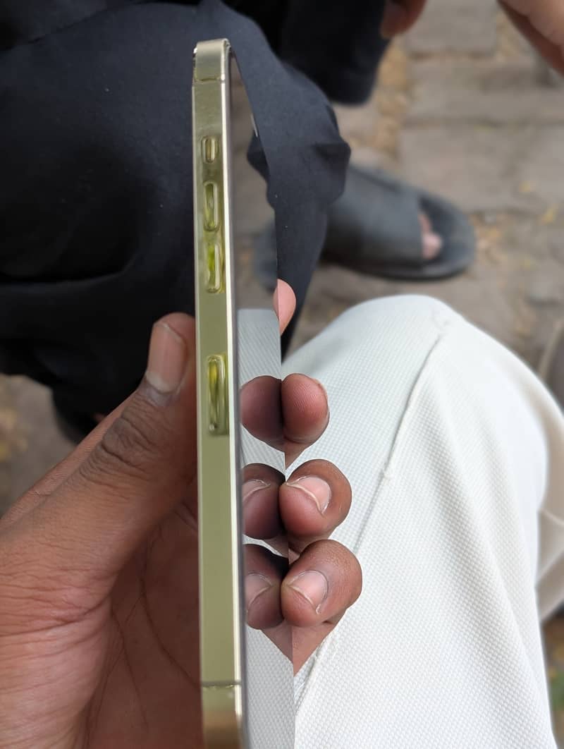Apple iPhone 12 Pro Max 1