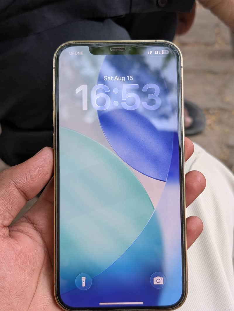 Apple iPhone 12 Pro Max 2
