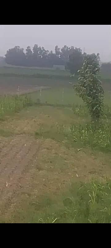 FARM House And Farmhouse Land Beautiful Location