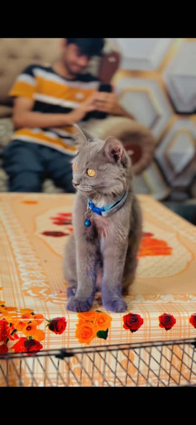 Name:Jack